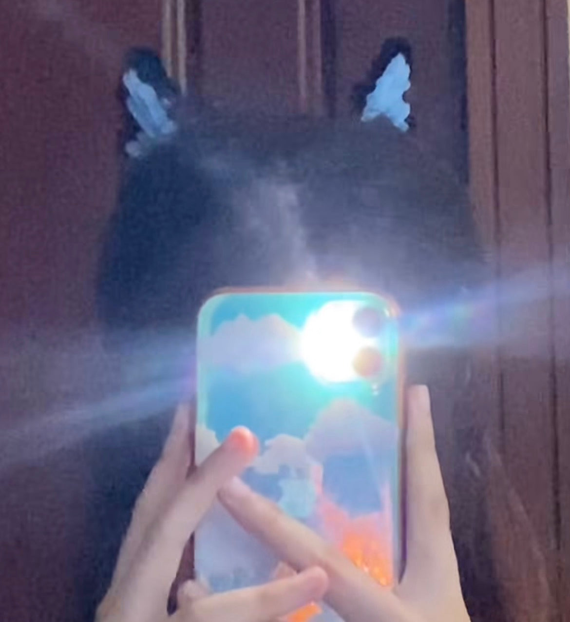 BlueWing ButterFly Clip